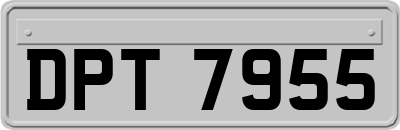 DPT7955