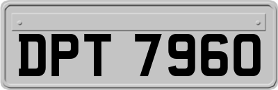 DPT7960