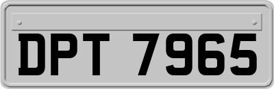 DPT7965