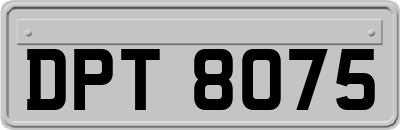 DPT8075
