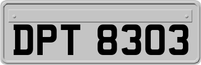 DPT8303