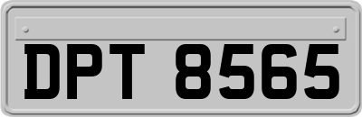 DPT8565