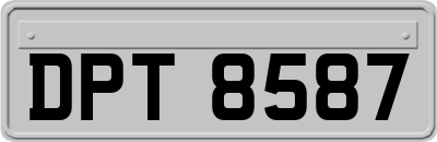 DPT8587