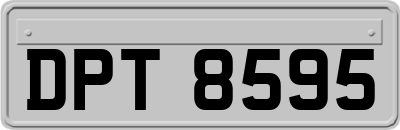 DPT8595