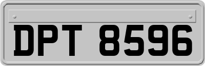 DPT8596
