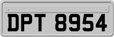 DPT8954
