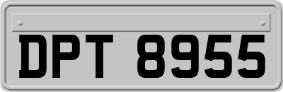 DPT8955