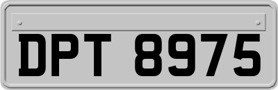 DPT8975