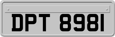 DPT8981