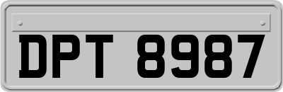 DPT8987