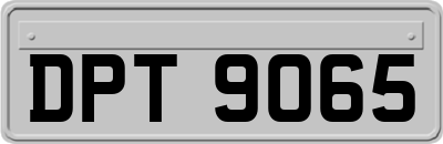 DPT9065