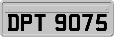 DPT9075
