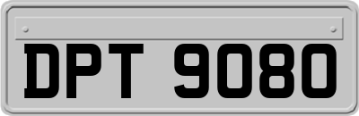 DPT9080