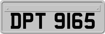 DPT9165
