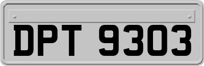 DPT9303