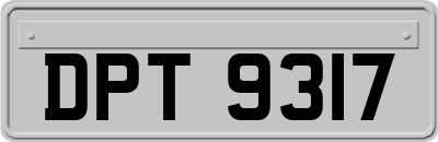 DPT9317