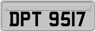 DPT9517