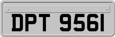 DPT9561