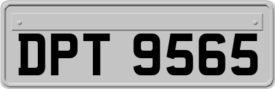DPT9565