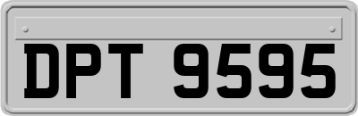 DPT9595