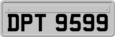 DPT9599