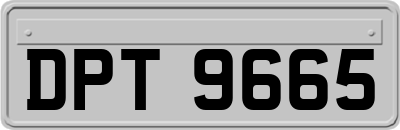 DPT9665