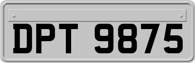 DPT9875