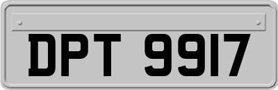 DPT9917
