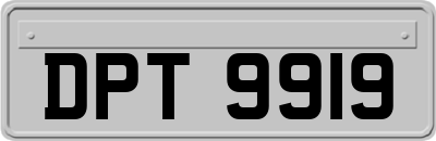 DPT9919