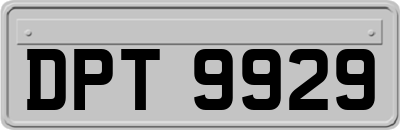 DPT9929