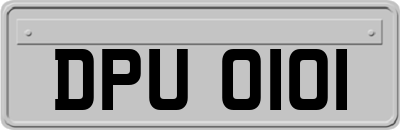 DPU0101