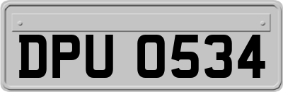 DPU0534