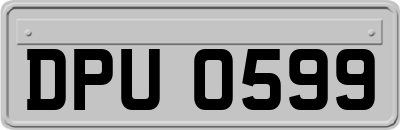 DPU0599