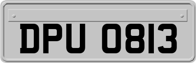 DPU0813