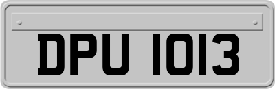 DPU1013