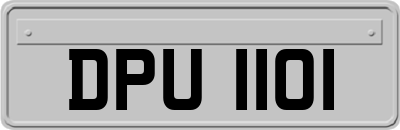 DPU1101