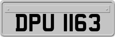 DPU1163