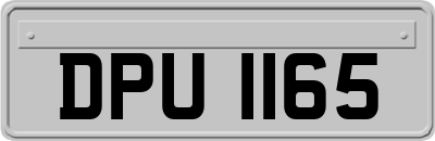 DPU1165