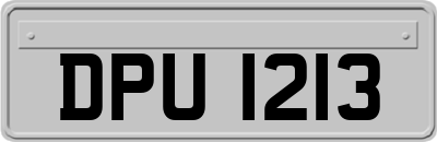DPU1213
