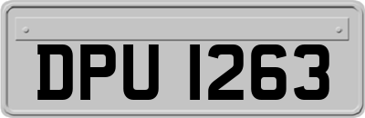 DPU1263