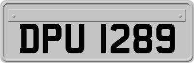 DPU1289