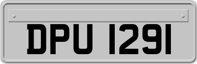 DPU1291