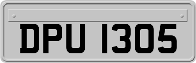 DPU1305