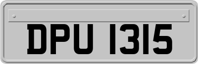DPU1315