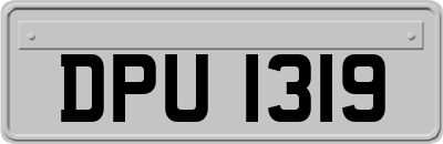 DPU1319
