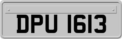 DPU1613
