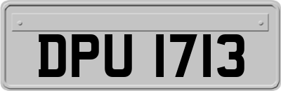 DPU1713