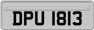 DPU1813