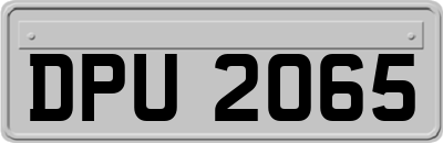 DPU2065