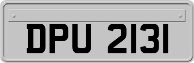 DPU2131